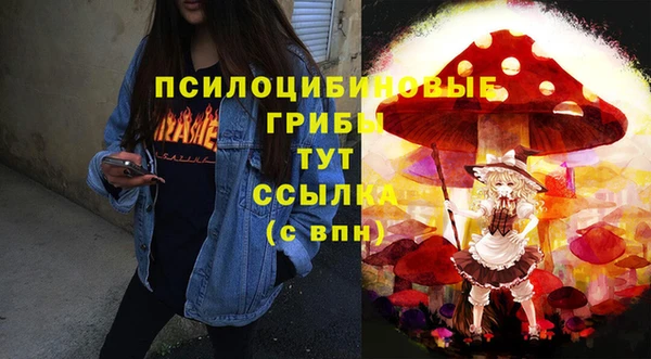 дживик Сосновый Бор