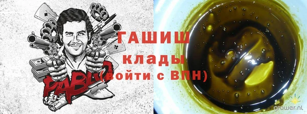 хмурый Сосновка