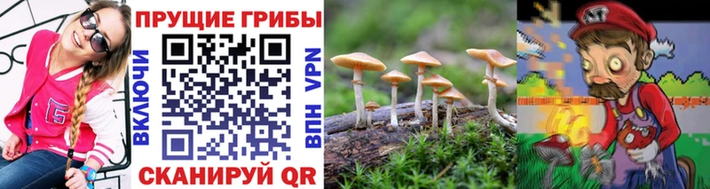 купить наркотик  Уяр  Галлюциногенные грибы прущие грибы 